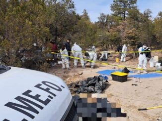 Suman 56 cadáveres en fosas clandestinas de Casas Grandes