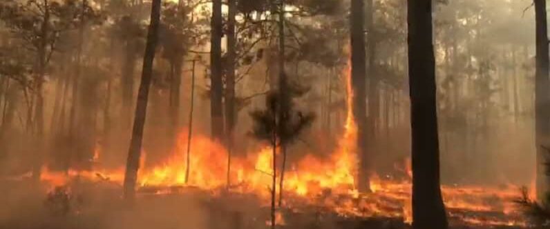 Se registran dos incendios forestales activos en Guachochi y Balleza