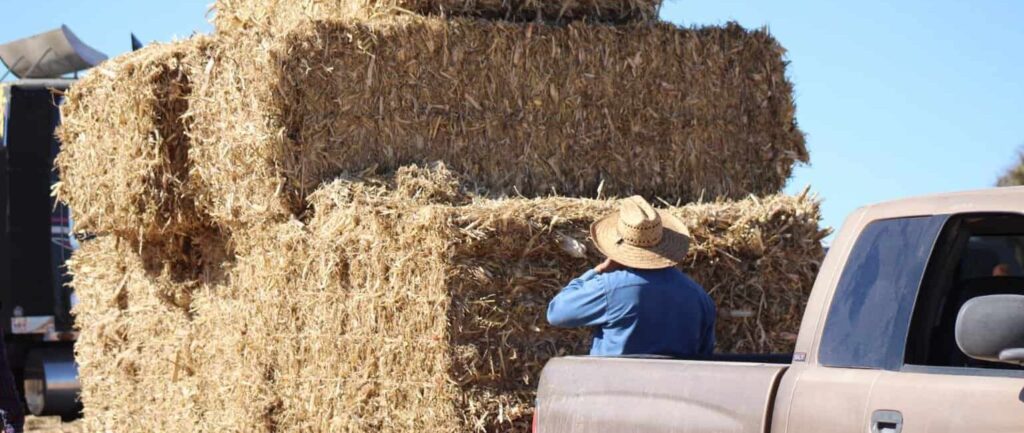 Beneficiará Gobierno del Estado a cerca de 8 mil productores con pacas de rastrojo