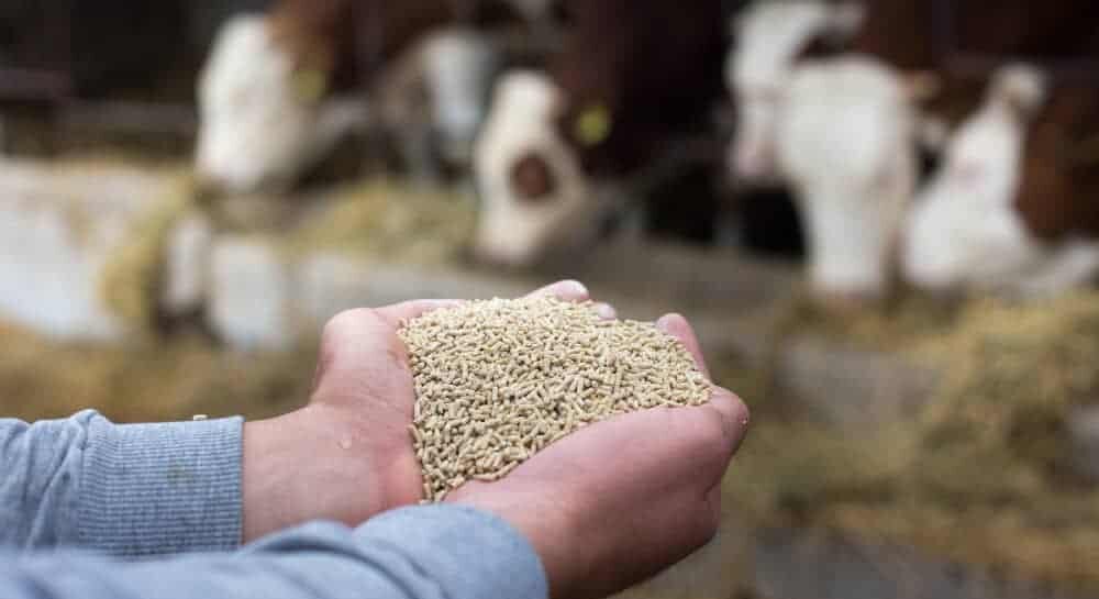 Urgente que se liberen los recursos para lecheros de la Entidad: Congreso de Chihuahua