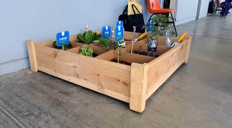 Capacitarán a 1,290 estudiantes cuauhtemenses en la implementación de huertos escolares