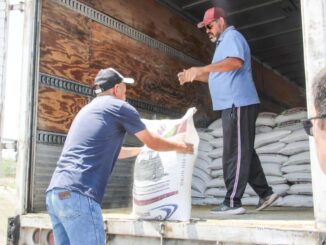 Publica Secretaría de Desarrollo Rural bases para participar en programas de 2025