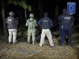 Asegura BOI gran cantidad de marihuana cerca del lugar del hallazgo de cuerpos inhumados clandestinamente en Casas Grandes