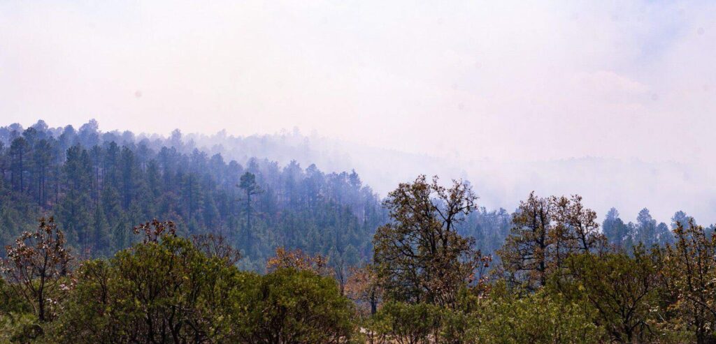 Participan 124 brigadistas en combate a incendios forestales