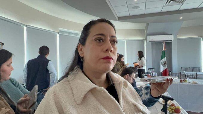 Se desintegra PT por grandes diferencias de trabajo entre diputadas – Al Instante Chihuahua.com