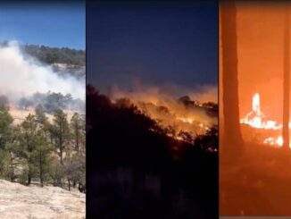 Se reactiva incendio forestal en la sierra de Tomochi