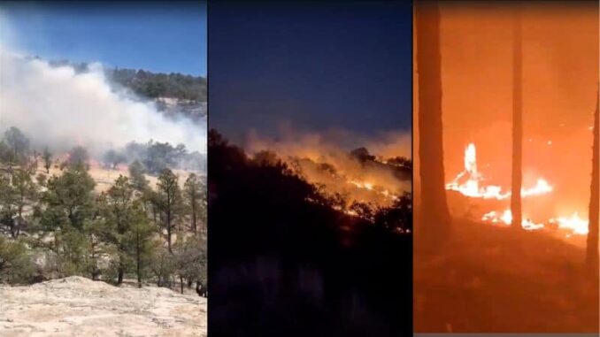 Se reactiva incendio forestal en la sierra de Tomochi