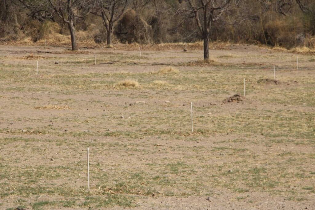 Entrega Desarrollo Rural las primeras obras de infraestructura hídrica en Aldama