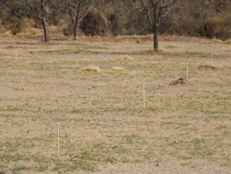 Entrega Desarrollo Rural las primeras obras de infraestructura hídrica en Aldama