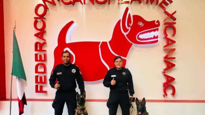Galardonan a Unidad Canina de la SSPM como Policía del Año 2024