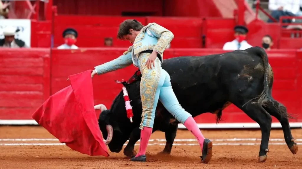 Presenta Partido Verde iniciativa para regular Corridas de Toros sin sangre