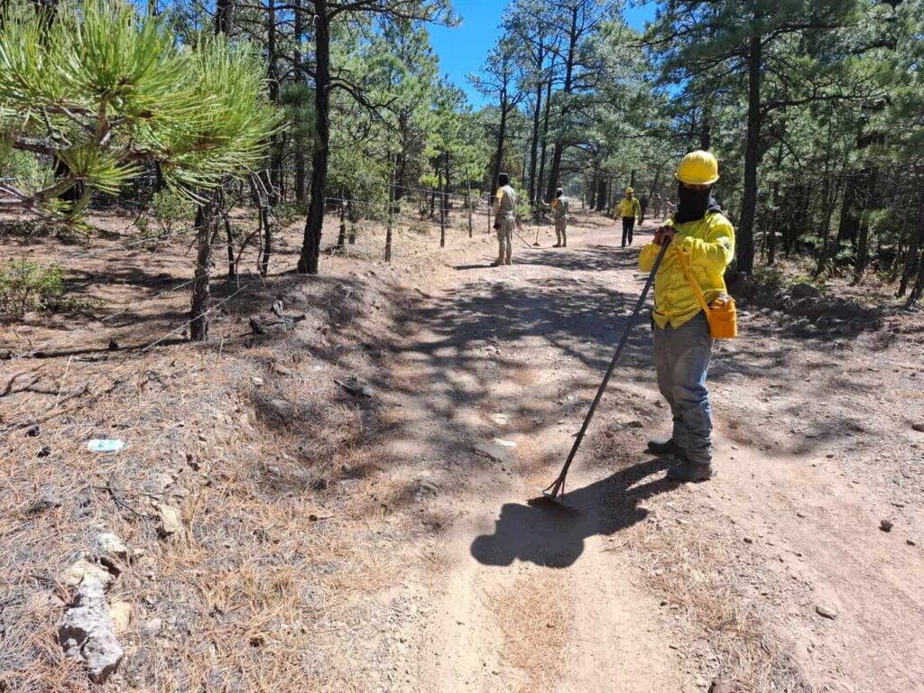 Incrementa número de combatientes para atender incendios forestales activos en el estado