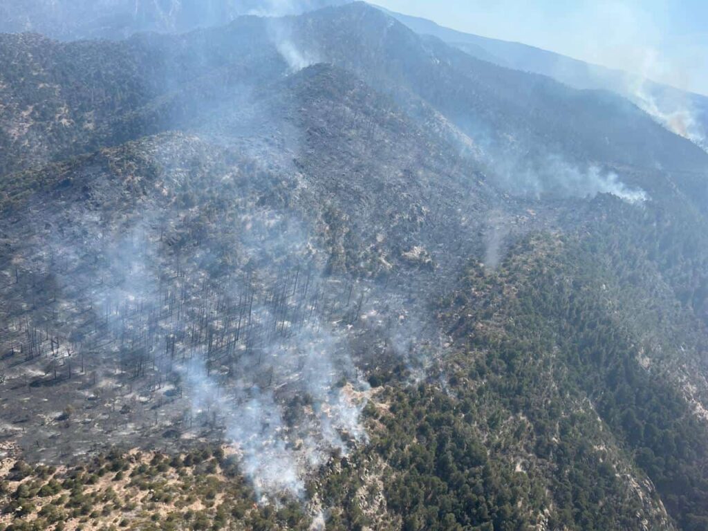 Trabajan 211 combatientes para abatir los 11 incendios activos en la entidad: SDR