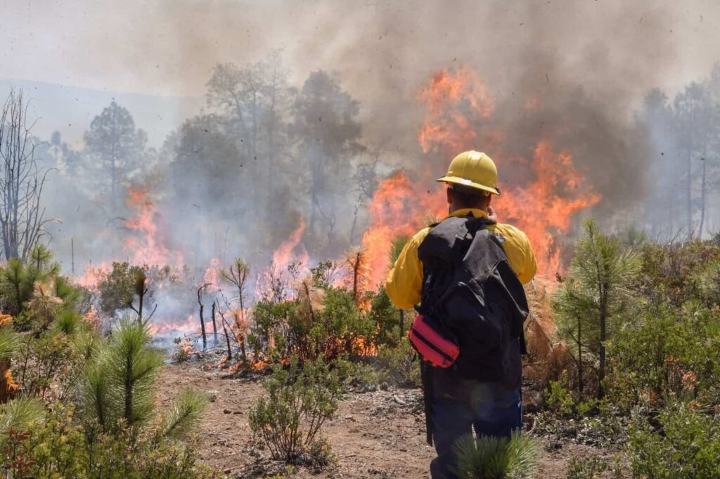 Autoridades estatales y federales acuerdan mantener coordinación en combate de incendios forestales