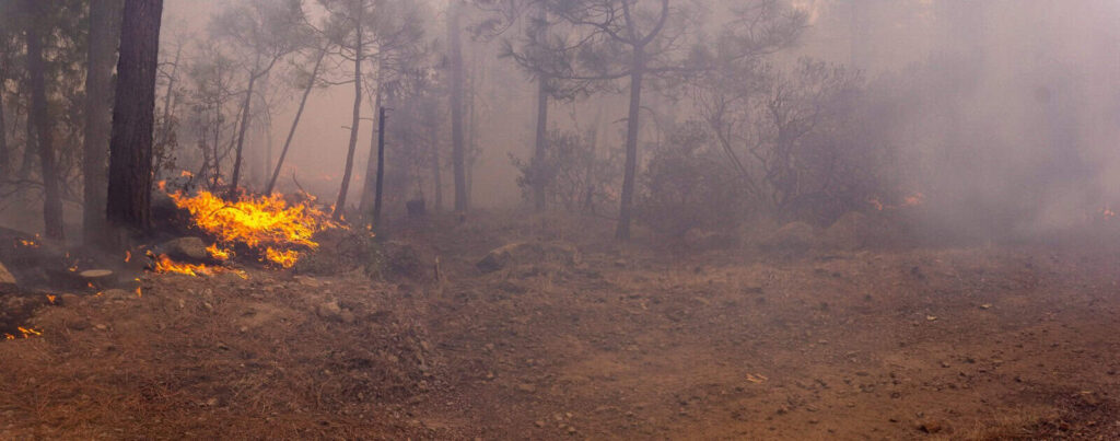Combaten 164 brigadistas 11 incendios forestales activos en la entidad