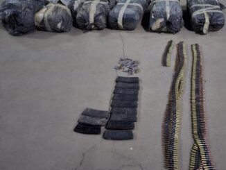 Asegura célula BOI municiones y droga en campamento en el municipio de Madera