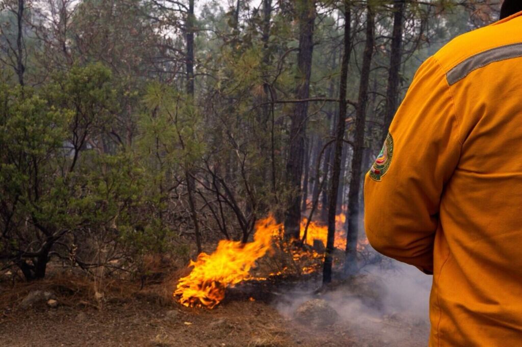 Permanecen activos 7 incendios forestales en la entidad