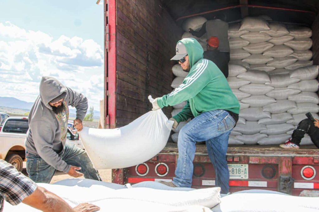 Arranca entrega de semilla de frijol para siembra