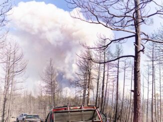 Combaten 30 brigadistas cuatro incendios forestales en zona serrana