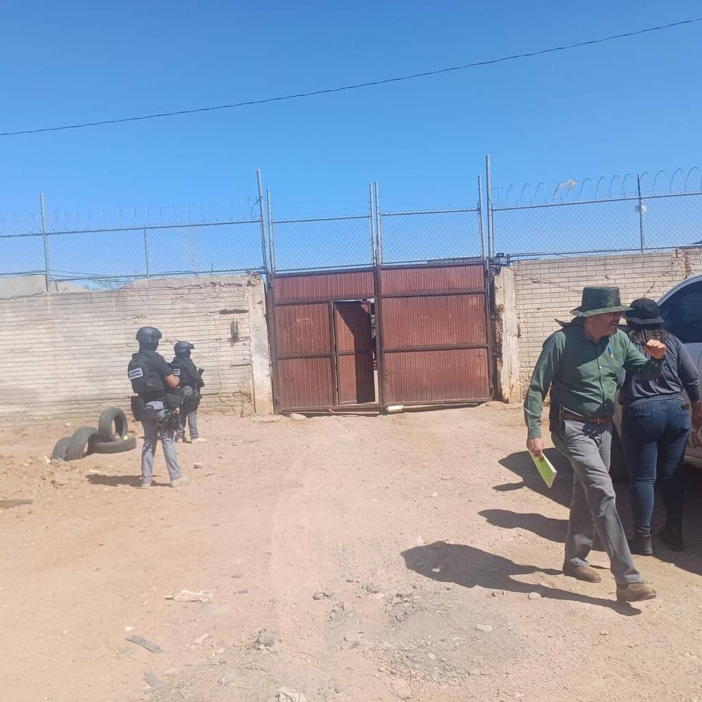 Catea FGE corralón de empresa de grúas y localiza dos vehículos robados