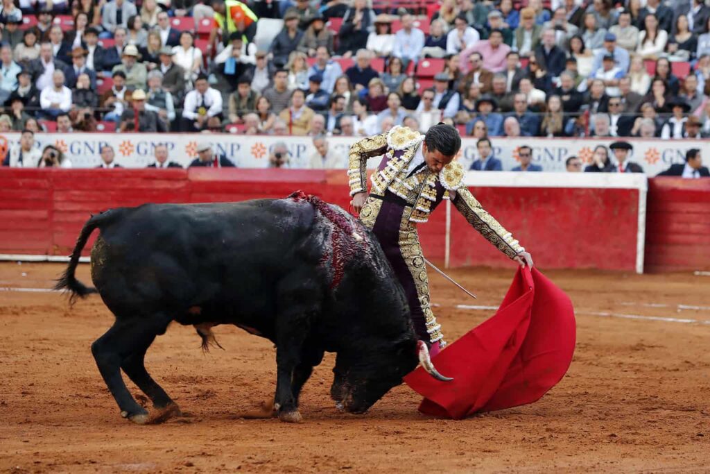 Toreros buscan amparo contra la prohibición de corridas con sangre en CDMX