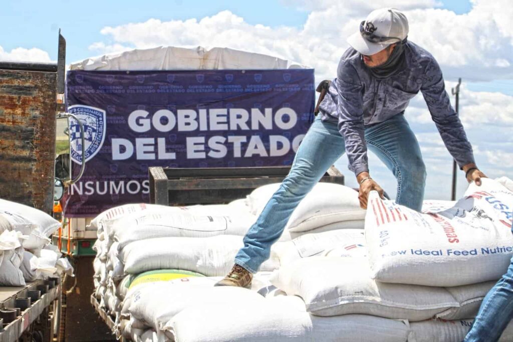 Abre SDR convocatoria del programa de maíz subsidiado para bovinos y especies menores