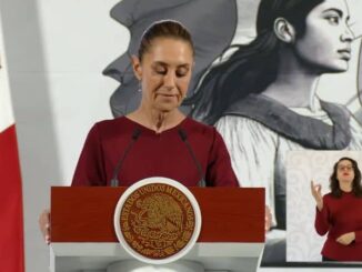 Frena Sheinbaum a Andrea Chávez, » no se debe adelantar nada»