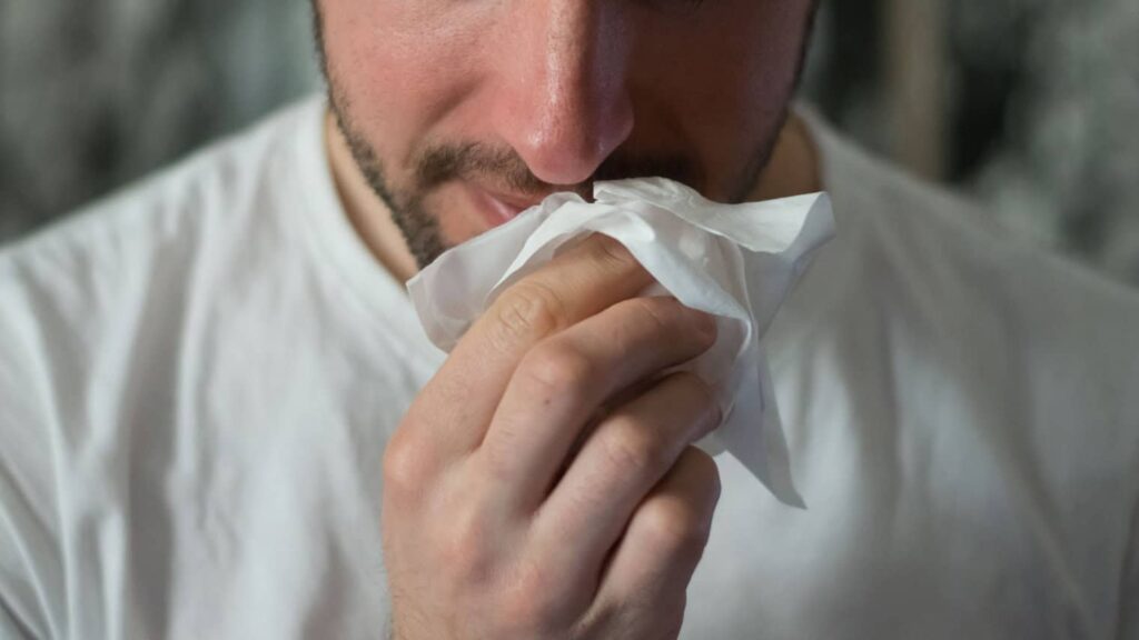 Influenza aviar: qué es, cómo se contagia y cómo prevenirla