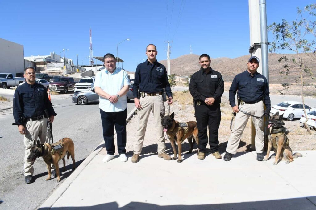 Retira Fiscal insignias de servicio a seis caninos tras ocho años de servicio