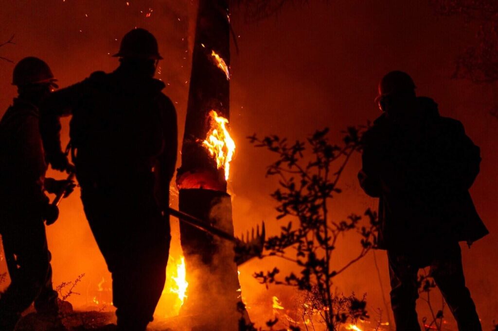 Controlado en un 90 por ciento incendio forestal en Guazapares: SDR