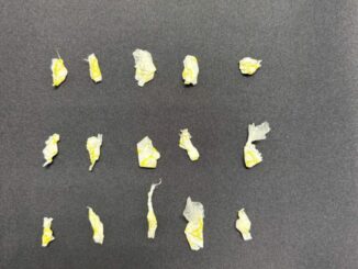 Captura COE a masculino en posesión de cocaína en Cd. Juárez