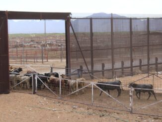 Da estado seguimiento puntual a situación fitozoosanitaria y coordina acciones en favor del sector ganadero