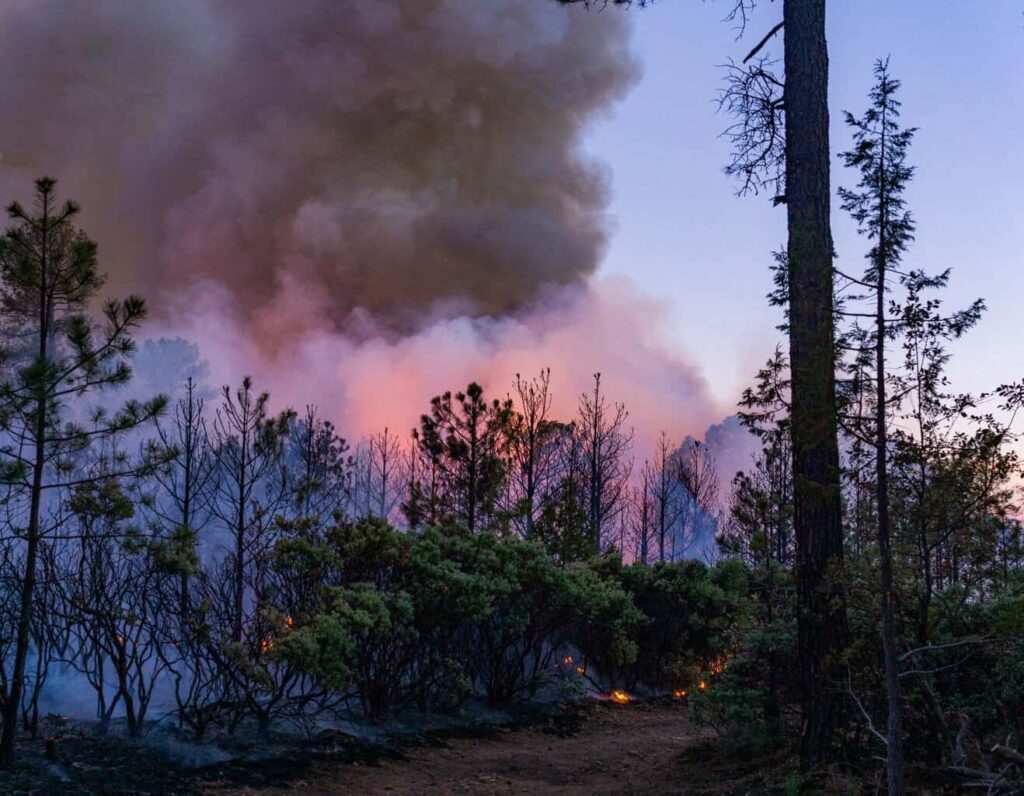 Refuerzan coordinación para combatir incendios forestales con instalación del Equipo Estatal de Manejo de Incidentes