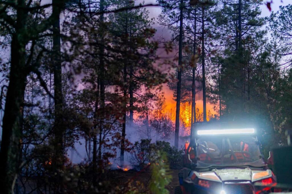 Permanecen activos 12 incendios forestales en el estado