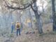 Incendios forestales en la entidad se encuentran controlados y sin riesgo para la población: SDR