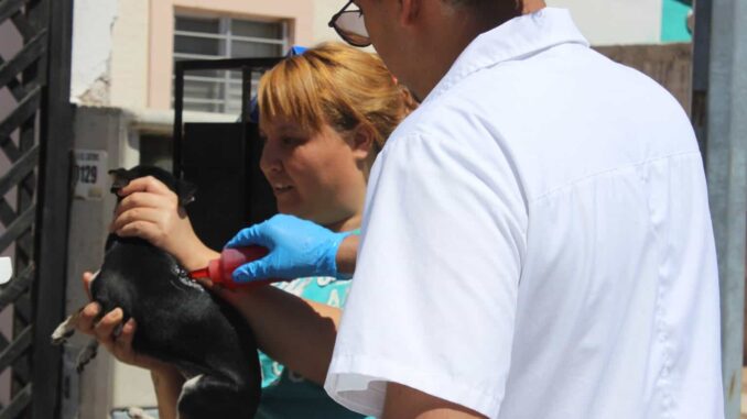 Conoce las colonias que visitará el programa “Patio de mi Casa” en el mes de mayo