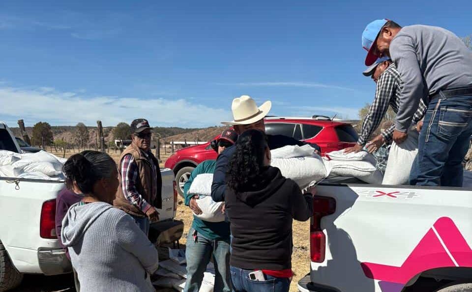 Entregan más de 1,200 apoyos alimentarios a familias del municipio de Temósachic