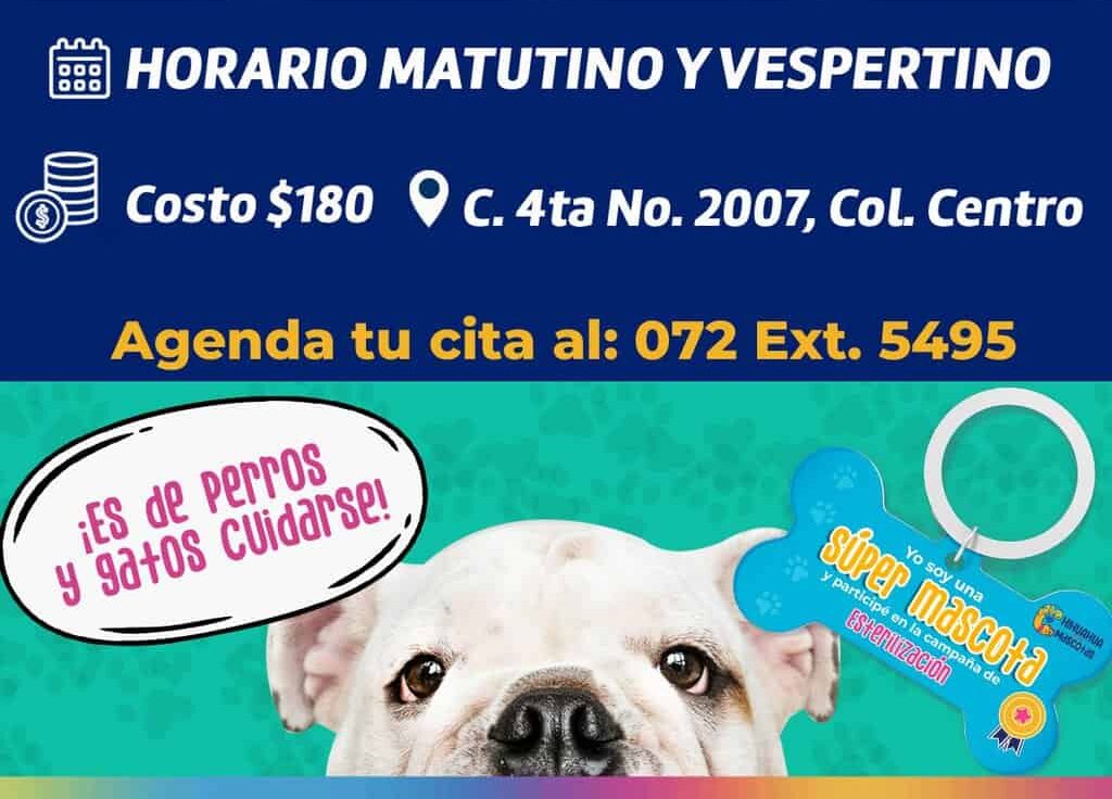 Ofrece IMPAS servicio de esterilización a mascotas en sus instalaciones ubicadas en la calle Cuarta