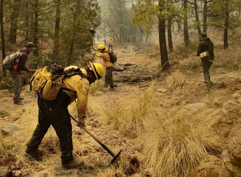 Desarrollo Rural apoya con maquinaria y personal para combatir incendio forestal en Madera