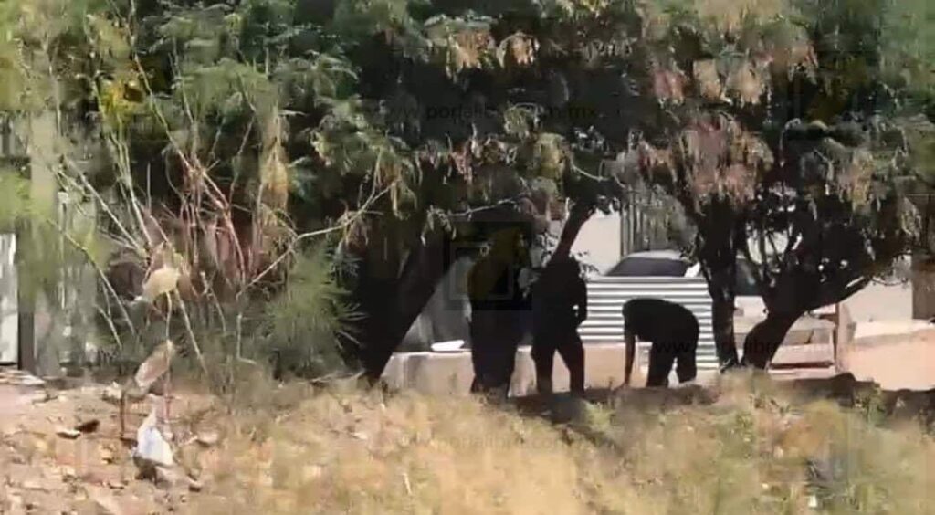 Hallan a hombre sin vida en arroyo de la colonia 2 de Octubre