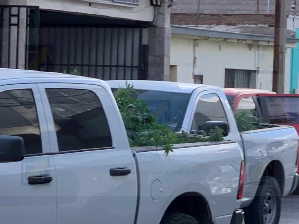 Difunden aseguramiento tras cateo en céntrico hotel