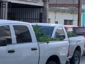 Difunden aseguramiento tras cateo en céntrico hotel