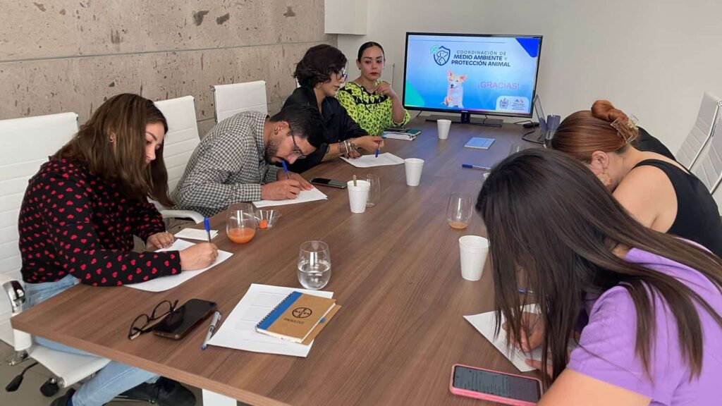 Colabora Municipio con rescatistas para atender casos de maltrato animal