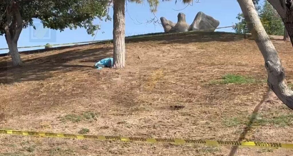 Hallan sin vida a un hombre junto a la Mediateca en parque del Palomar