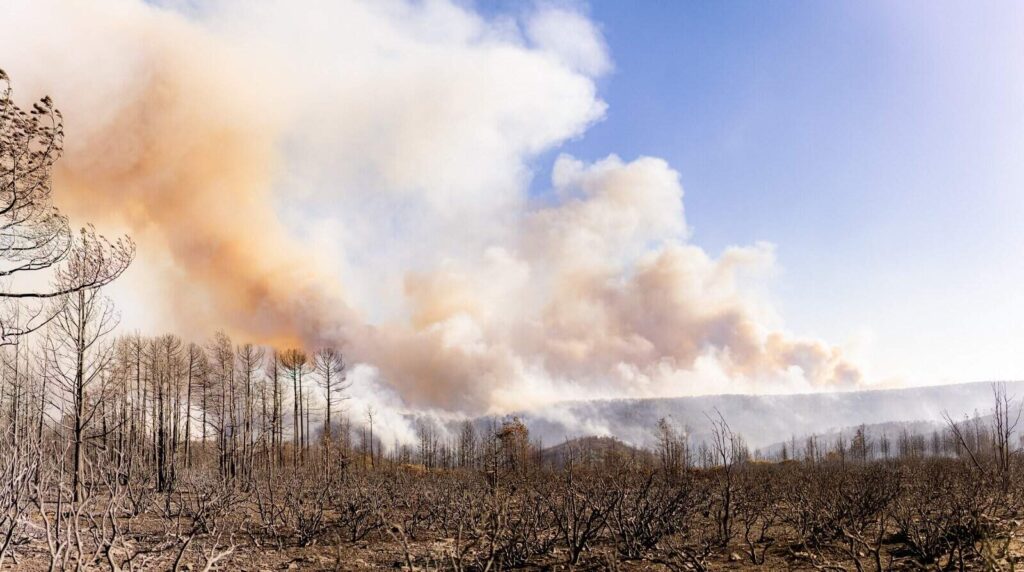 Combaten 435 brigadistas 24 incendios forestales activos en la entidad
