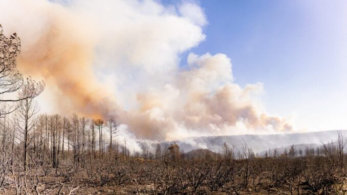 Combaten 435 brigadistas 24 incendios forestales activos en la entidad