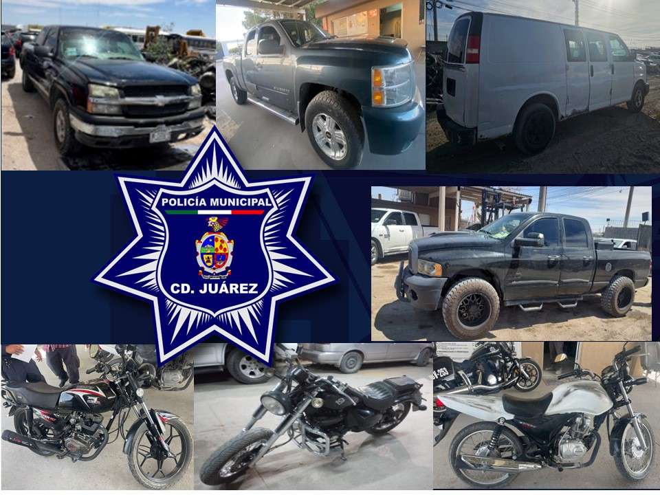 Recuperan 7 vehículos robados el fin de semana